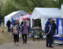 Open Day stalls